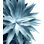 «Bursting Into Life Teal», impression sur toile tendue