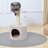 Nimitz 23.62'' H Cat Tree