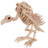 Skeleton Vulture