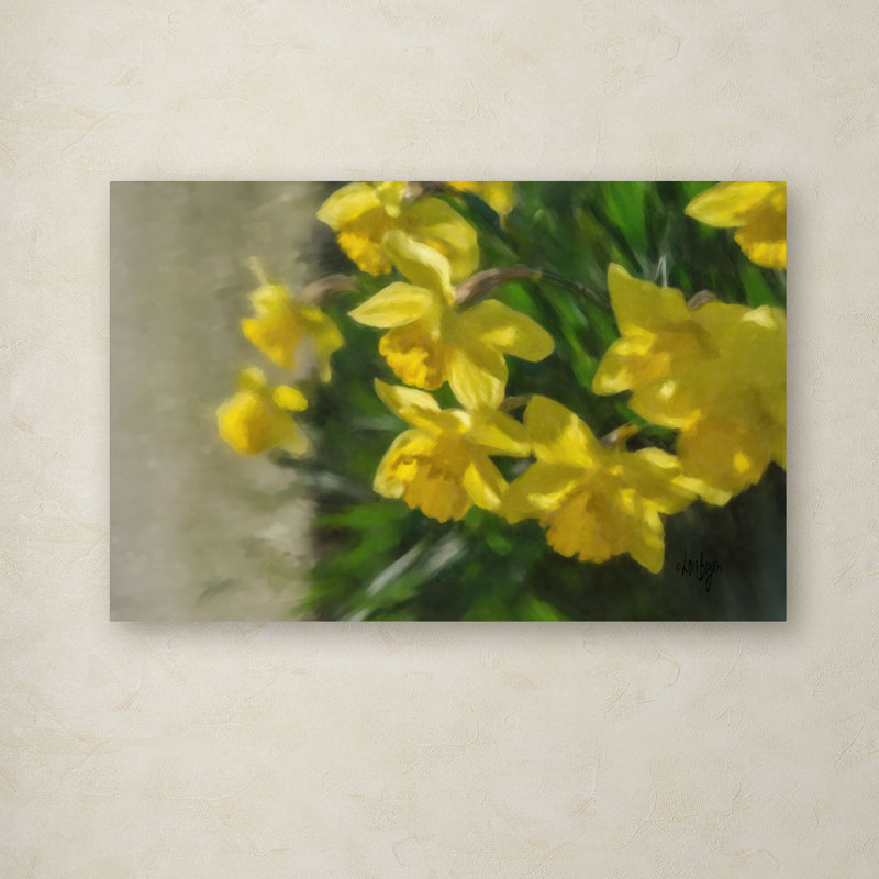 « daffodils peek » par lois bryan, reproduction d’art sur toile tendue, H 22 po x l 32 po x P 2 po