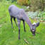 Animals Garden Statue