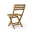 Alabama Folding Beach Chair