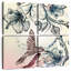 Colibri ronce et fleurs d'hibiscus-109110971