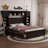 Ethil 4 Drawers Bookcase Platform Bed-1035593827-1047717054