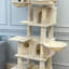 Arbre à chat 68 po-721770224