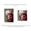 Murale fleur de pivoine moderne et minimaliste-913517861