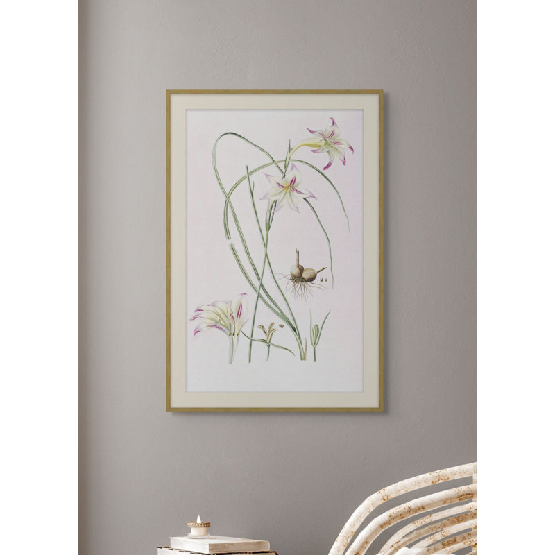 Lilium 1 Print, 43.48" H x 29.48" W