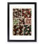 19th Century Floral Patterns by Albert Racinet - Picture Frame Painting Print-55629071-55629070