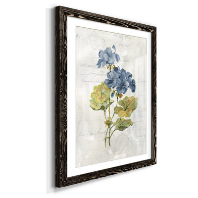 " Blue Linen Geranium " Painting Print