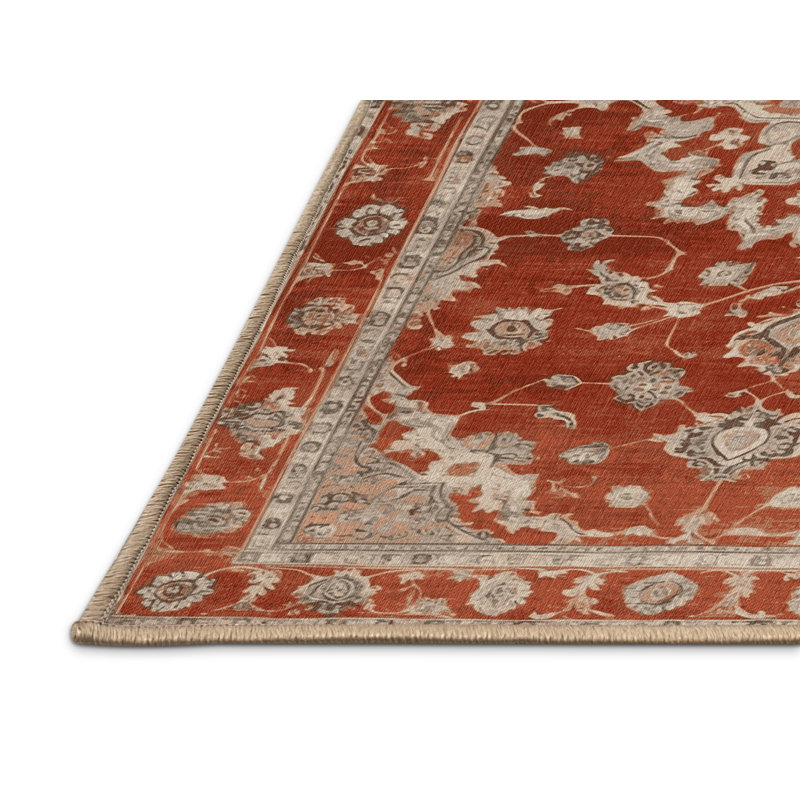 Machine Washable Overdyed Brown Area Rug, Rectangle 2' x 3'