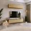 RTV cabinet Nicole 80 cm-1484770617