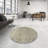 Oriental Indoor Rug-867582350