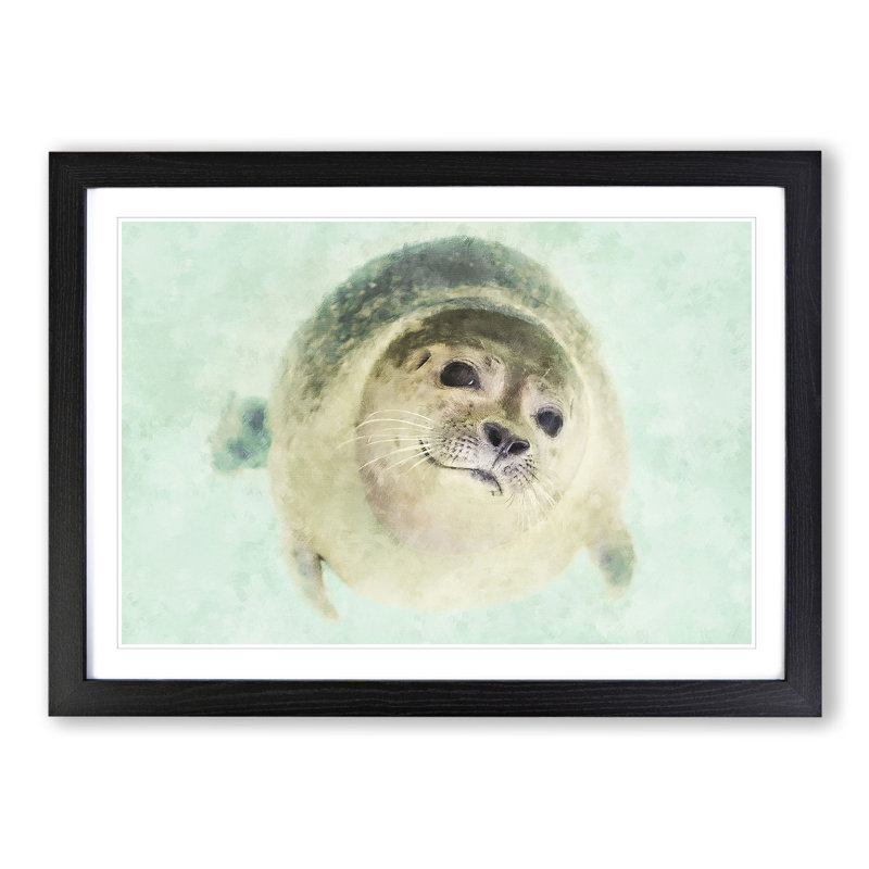 Seal - Picture Frame Graphic Art, 27cm H x 36cm W x 2cm D, Black Framed