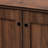 Cormier Mid Century Modern 2 Door Wood Entryway 10 Pair Shoe Storage Cabinet