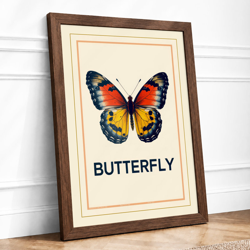 Specimen Butterfly Vintage - Print, Walnut, A1 - 84.1 x 59.4 cm
