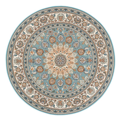 Indoor/Outdoor Traditional Area Rug