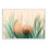 « ocean coquillage algues design » par albert koetsier,-impression sur image