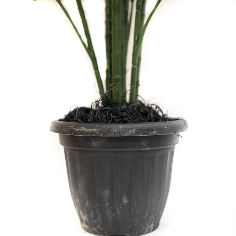 Palmier Areca en pot, H 55 po x l 39 po x P 39 po