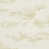 Gold/Shell selected