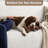 Stretchy Slipcover for Sofa – Machine Washable & Furniture Protector - Comfort Collection-51370892-88359764