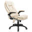 Executive Chair with Headrest-1769582501