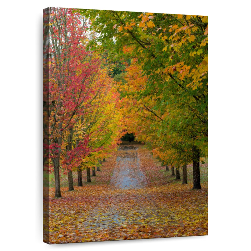 Harnek Path Of Maple Trees, 45" H x 30" W