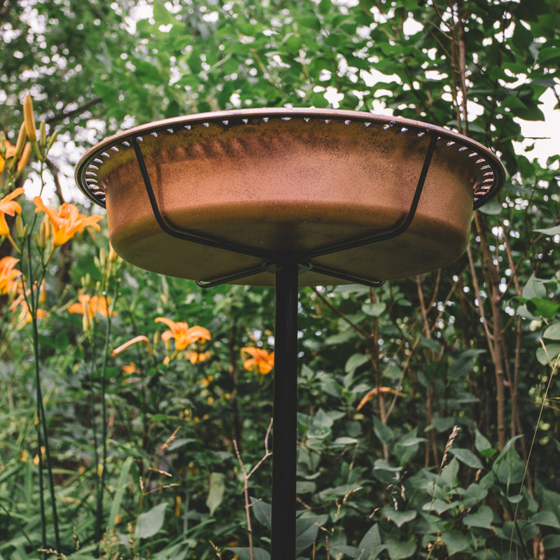  Bain d'oiseaux de jardin ovale en résine et cuivre avec piquet