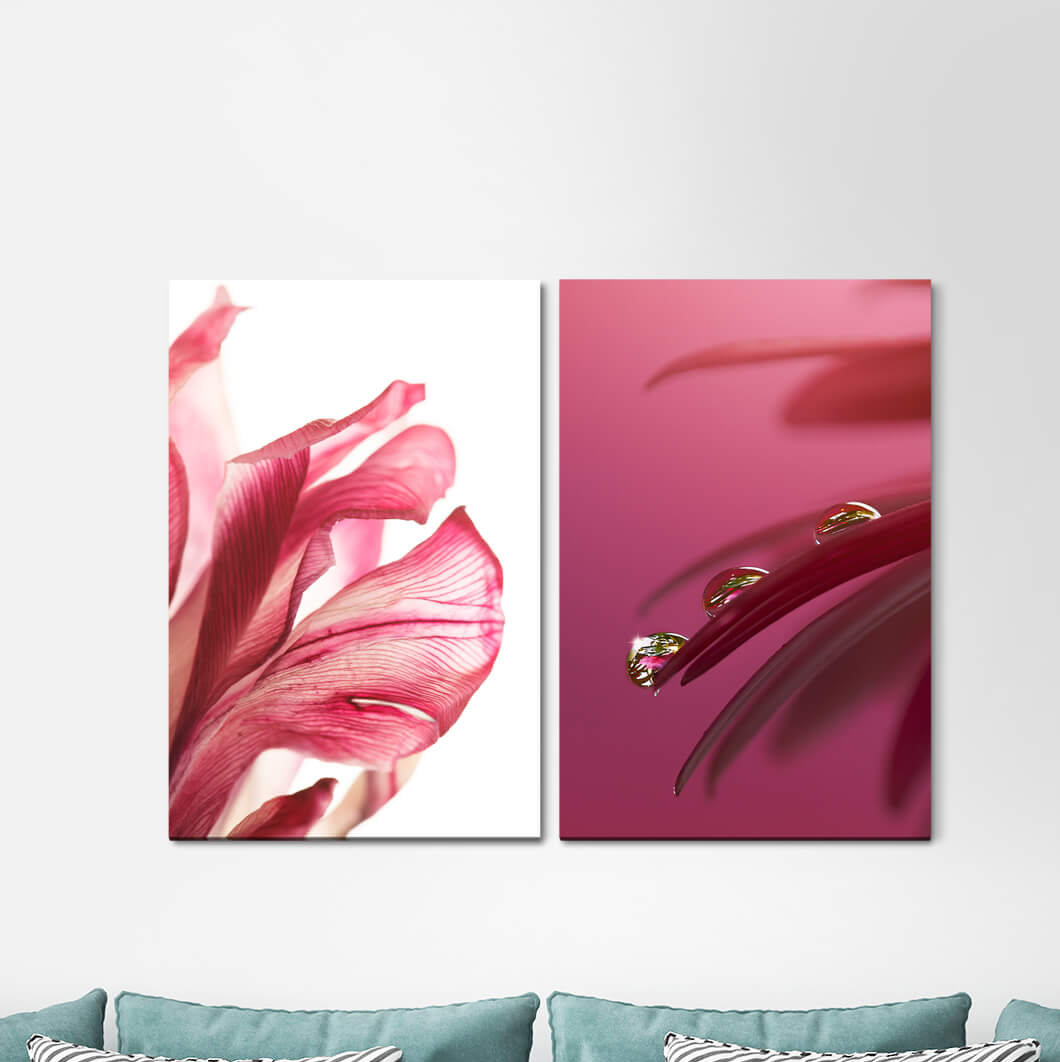 2-tlg. Leinwandbilder-Set - Fotografie „Orchid Red Blossom Pink Flowers Drops Calming”