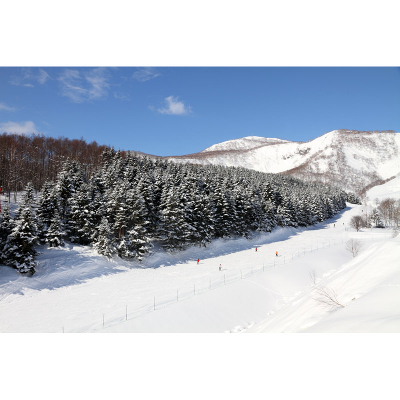 Ski Fun by Videowok_art - Wrapped Canvas Print, 30cm H x 46cm W