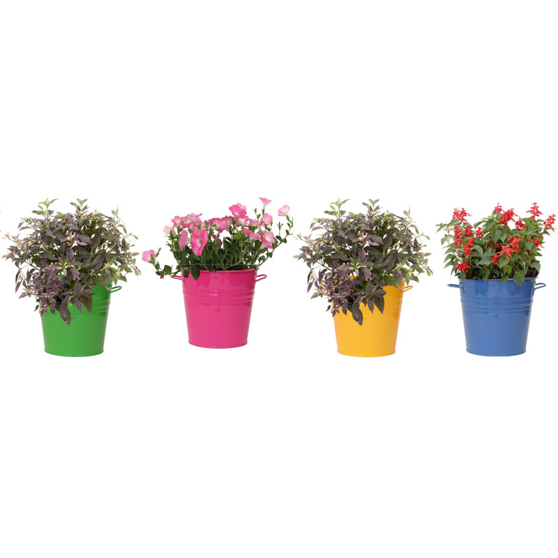 Ensemble de pots à fleurs en métal 4 pièces Retiro, Brun / bleu royal / vert, 4
