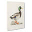 Male Mallard Duck by Von Wright - Wrapped Canvas-55309751