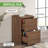 17'' Wide 2 -Drawer File Cabinet-757258440