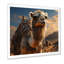 Majestic Camel Desert Wanderer II - Fruits Wall Art-79050658-79050331