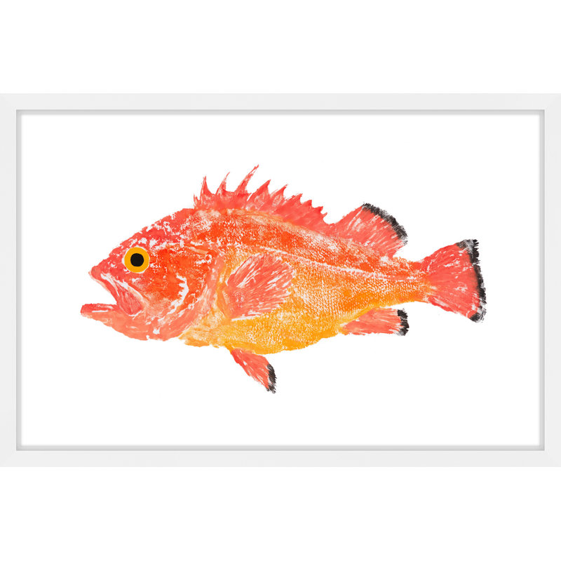 Yelloweye Rockfish Framed Canvas Print in Vibrant Colors