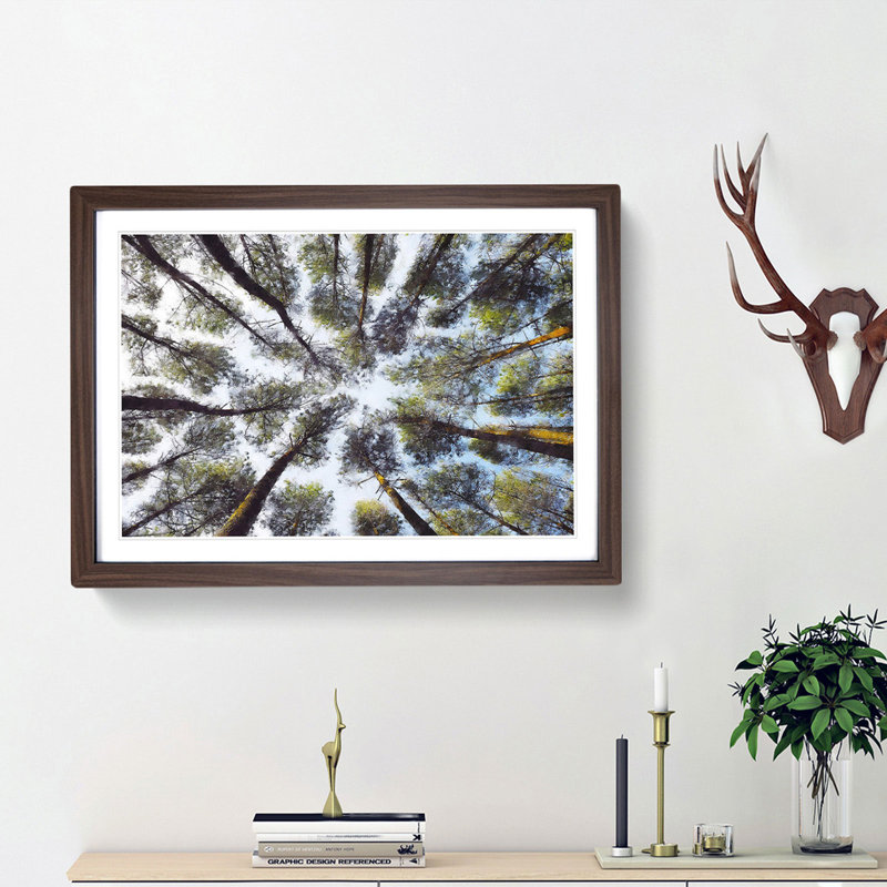 Tree Tops - Picture Frame Painting Print, 33cm H x 45cm W x 2cm D, Walnut Framed