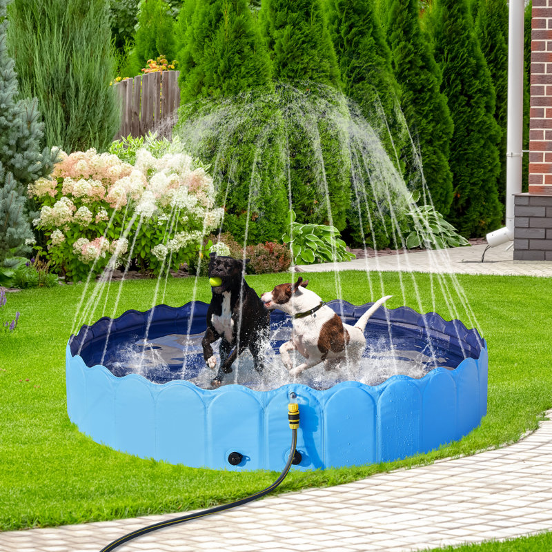 Grande piscine pliable pour chien avec arroseur, L 79 po x H 13 po