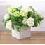 Rose Arrangement in Pot