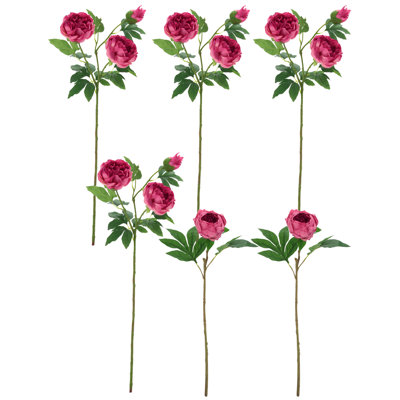 Pivoine à volants, touche naturelle, boîte de 6 - 23-32 pouces