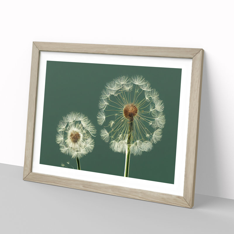 Ethereal Dandelion Flowers - Framed Print, 25cm H x 34cm W x 2cm D, Oak