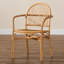 Chaise avec accoudoirs en rotin brun Charnessa