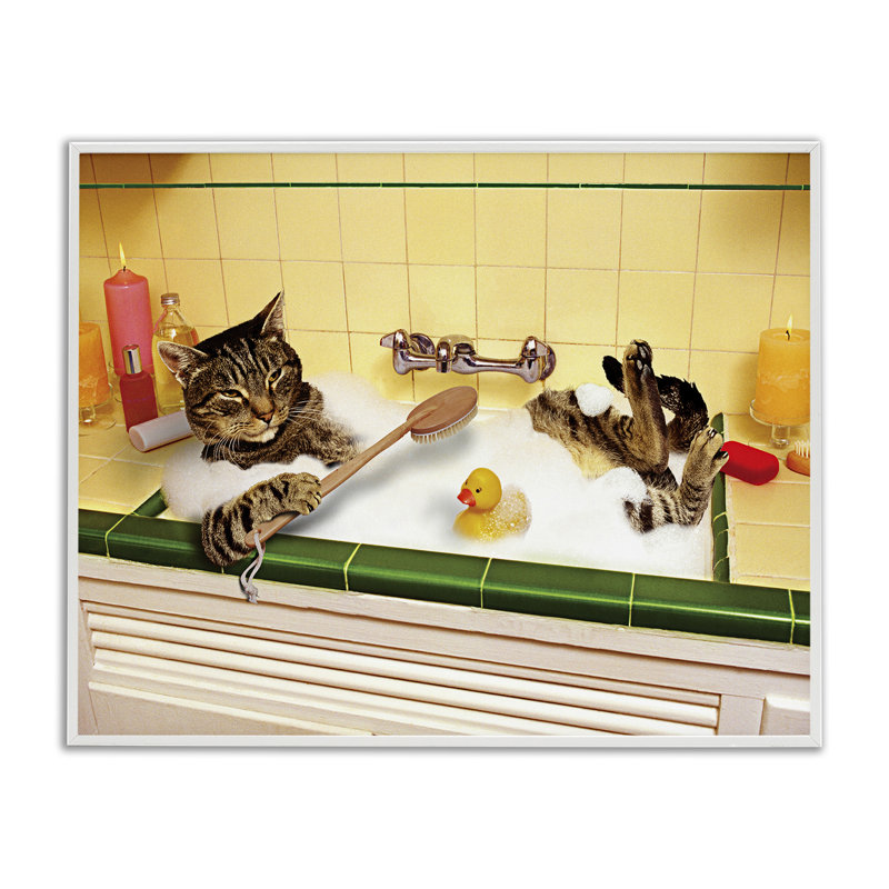 «Cat Bathing in Tub», estampe numérique par Lund Roeser, Giclée encadrée blanc bord de mer, H 16 po x l 20 po