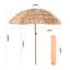 Beach Parasol-152109475