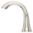 Weller Centerset Bathroom Faucet with Drain Assembly-70388044