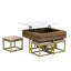 Ensemble de tables basses à plateau relevable moderne avec rangement et 4 repose-pieds blanc et noyer