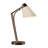 Reach 21.9" Desk Lamp-114977266-114977264