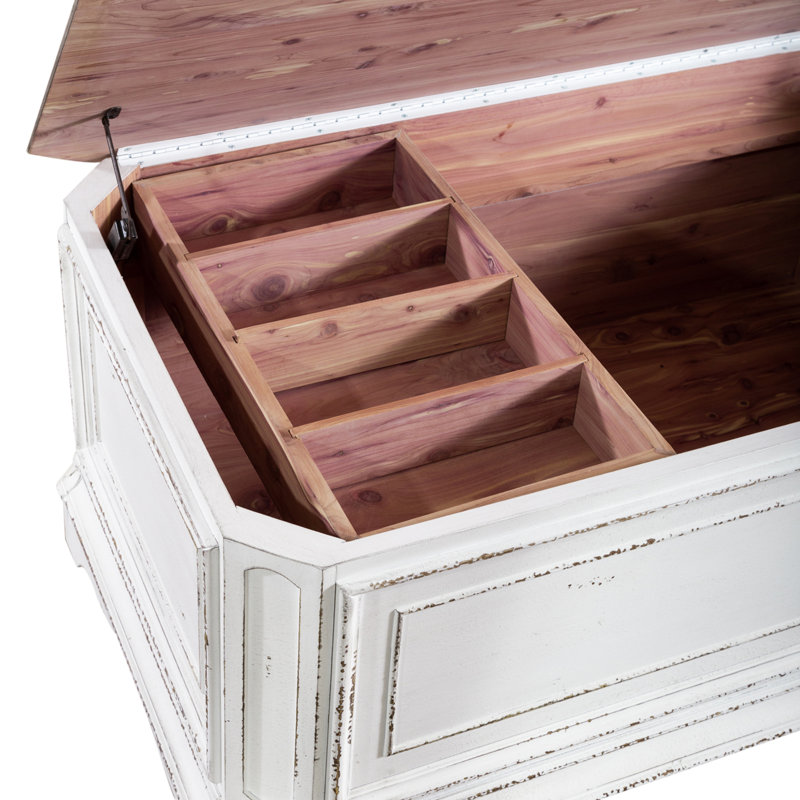 Colchester Storage Trunk w/ Removable Tray