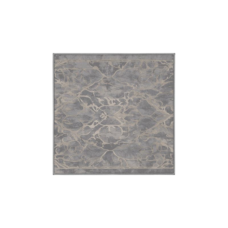 Machine Washable Gray Area Rug, Square 5'