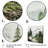 " Pine Tree Silent Wilderness "-1955914014-1955914085