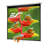 Manual B Series Manual Wall/ Ceiling Mounted Projector Screen