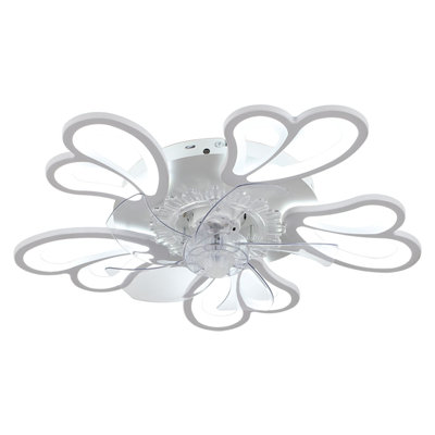 Ceiling Fan